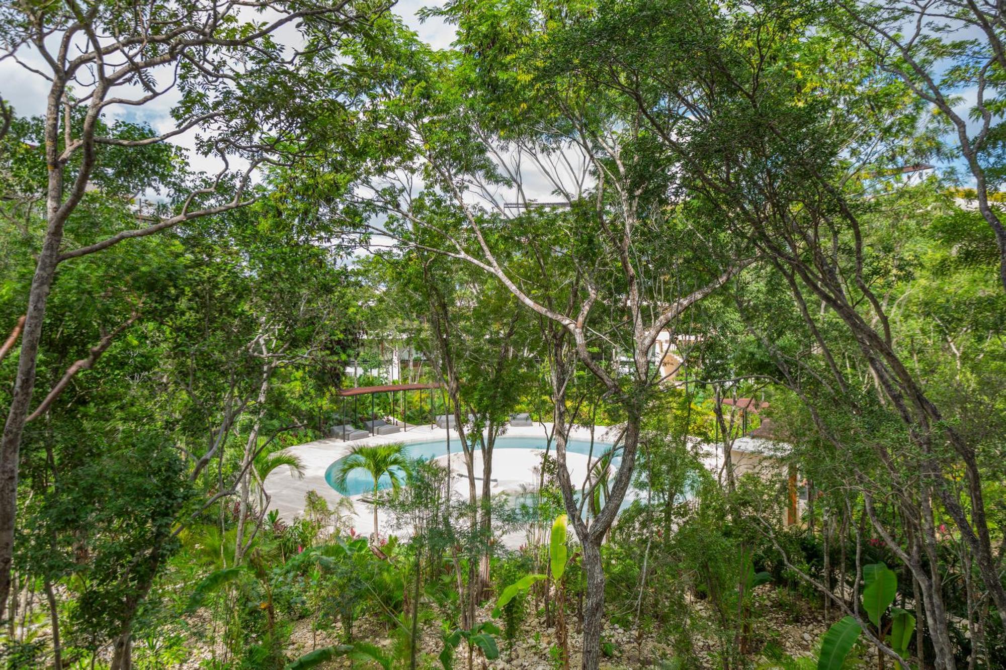 Mistiq Temple II Luxury Apartment 图卢姆 客房 照片
